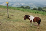 05_Plateau des 3 Croix